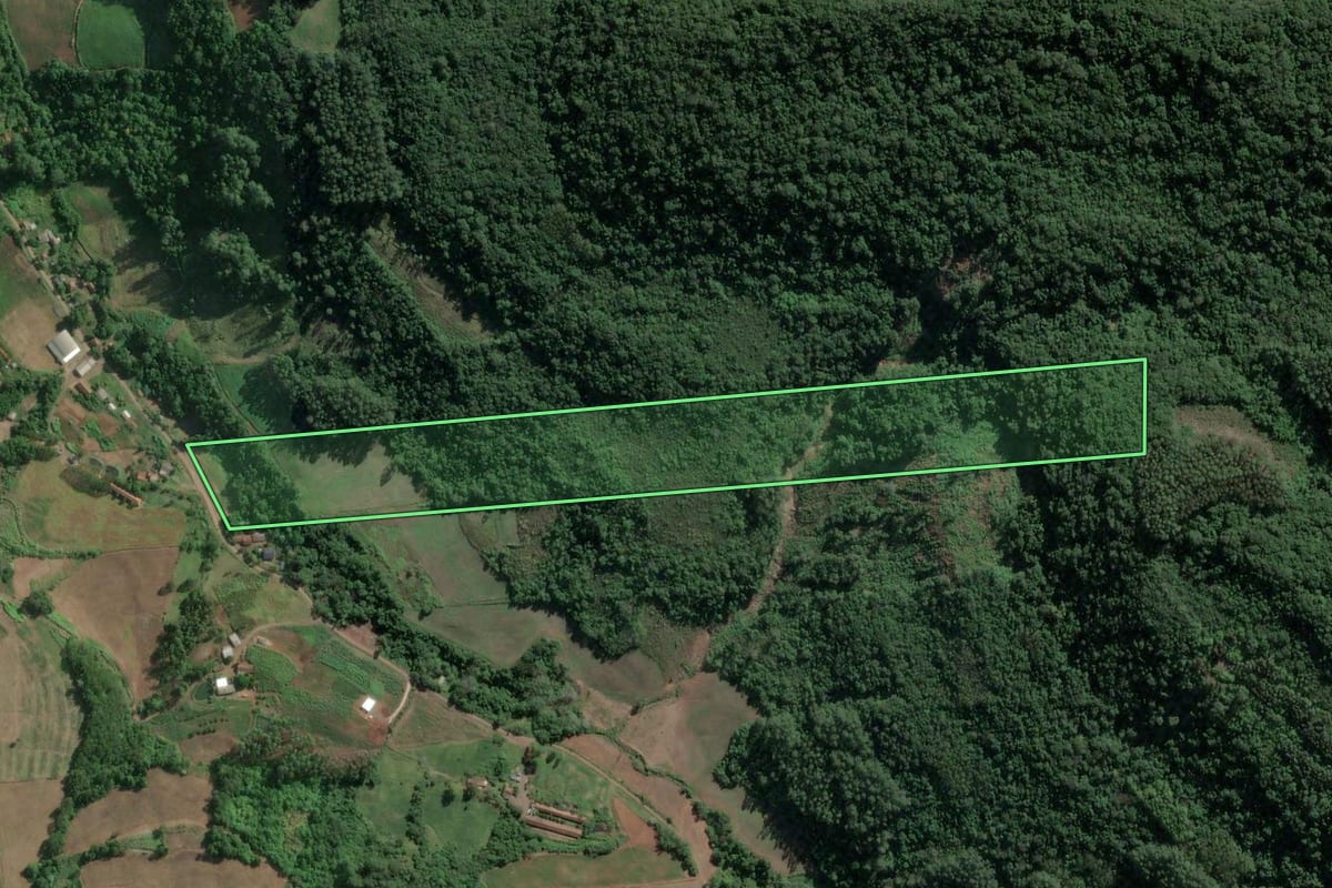 Imagem de satélite do imóvel rural em Roca Sales (RS), com o contorno declarado no CAR desenhado por cima.