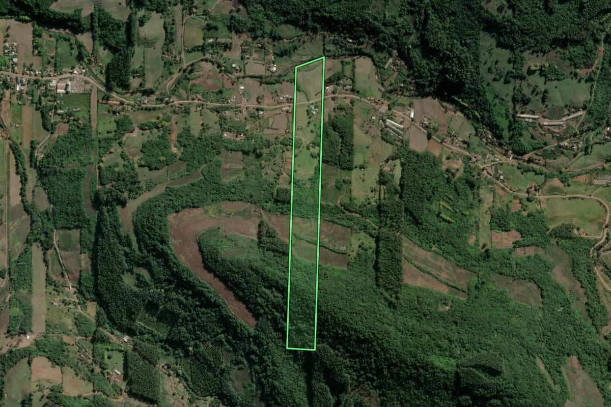 Imagem de satélite do imóvel rural em Roca Sales (RS), com o contorno declarado no CAR desenhado por cima.