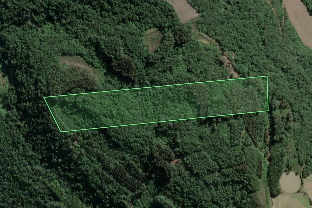 Imagem de satélite do imóvel rural em Roca Sales (RS), com o contorno declarado no CAR desenhado por cima.