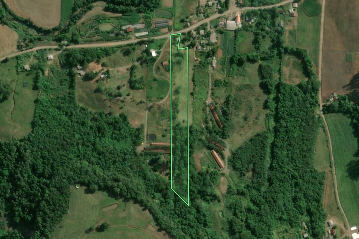 Imagem de satélite do imóvel rural em Roca Sales (RS), com o contorno declarado no CAR desenhado por cima.