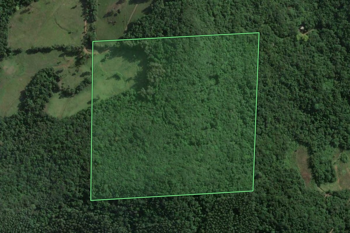 Imagem de satélite do imóvel rural em Roca Sales (RS), com o contorno declarado no CAR desenhado por cima.