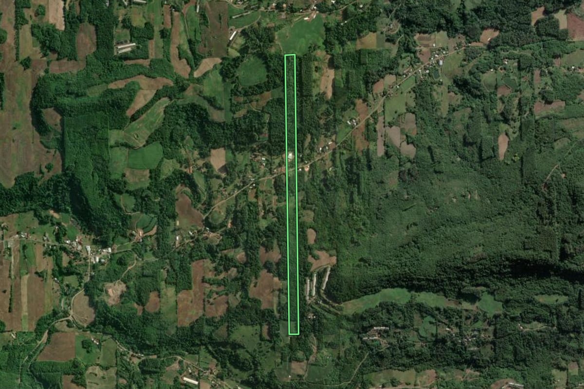 Imagem de satélite do imóvel rural em Roca Sales (RS), com o contorno declarado no CAR desenhado por cima.