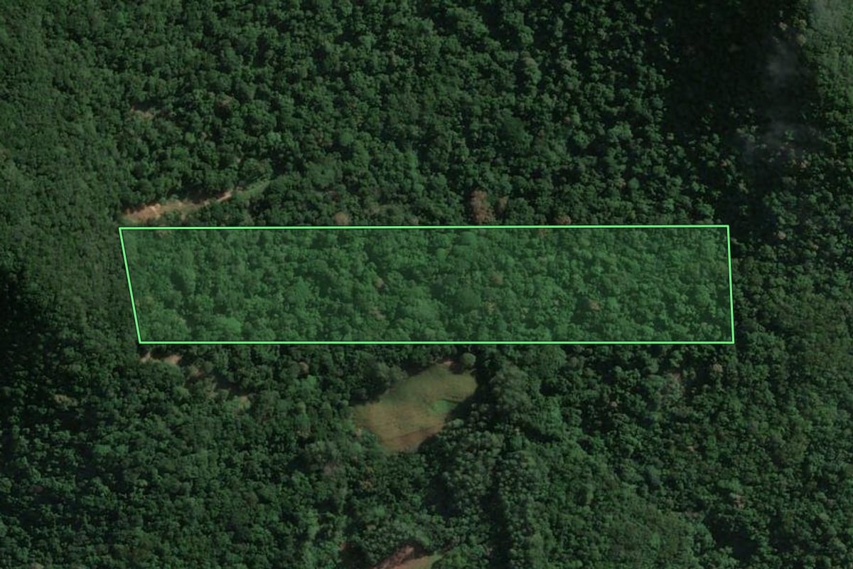 Imagem de satélite do imóvel rural em Roca Sales (RS), com o contorno declarado no CAR desenhado por cima.