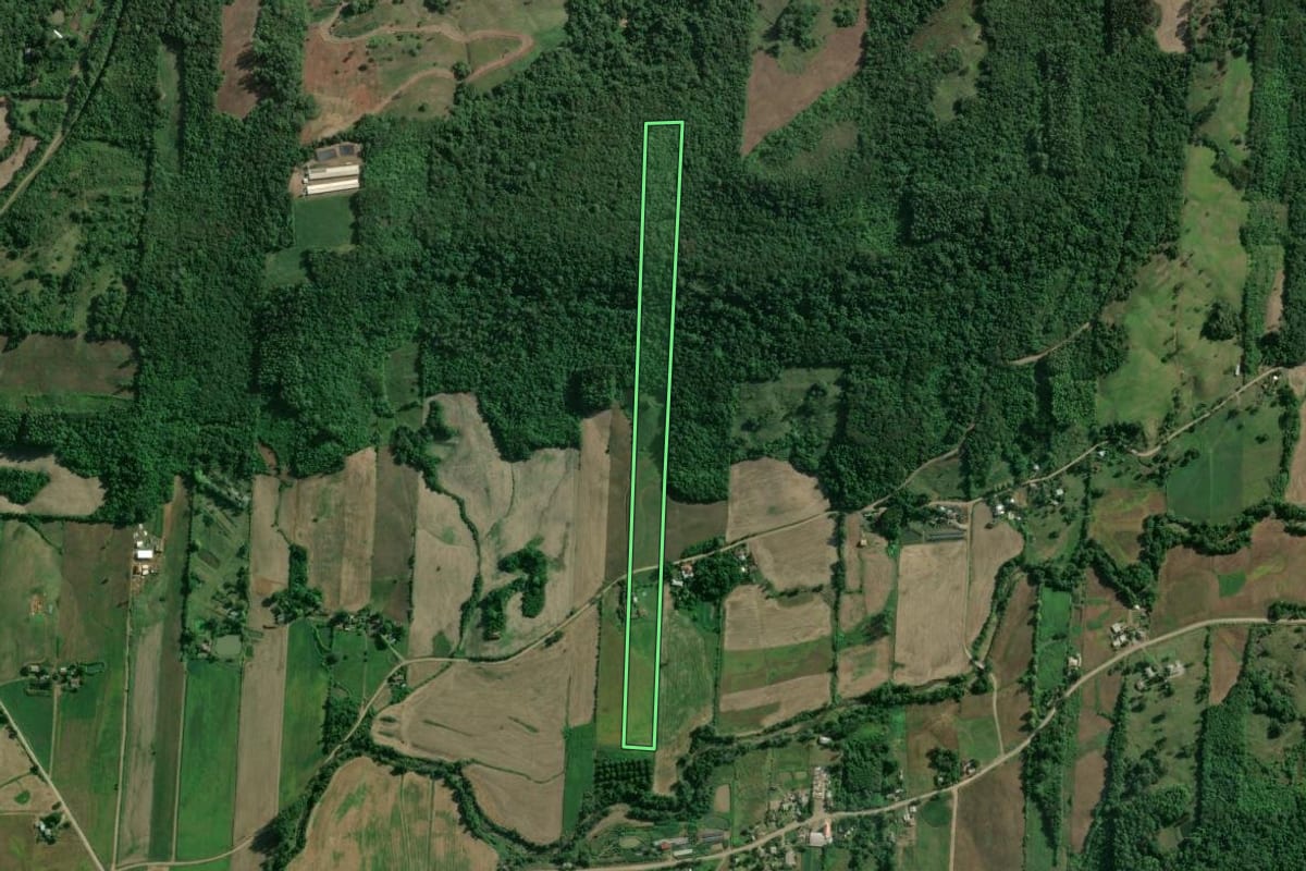 Imagem de satélite do imóvel rural em Roca Sales (RS), com o contorno declarado no CAR desenhado por cima.