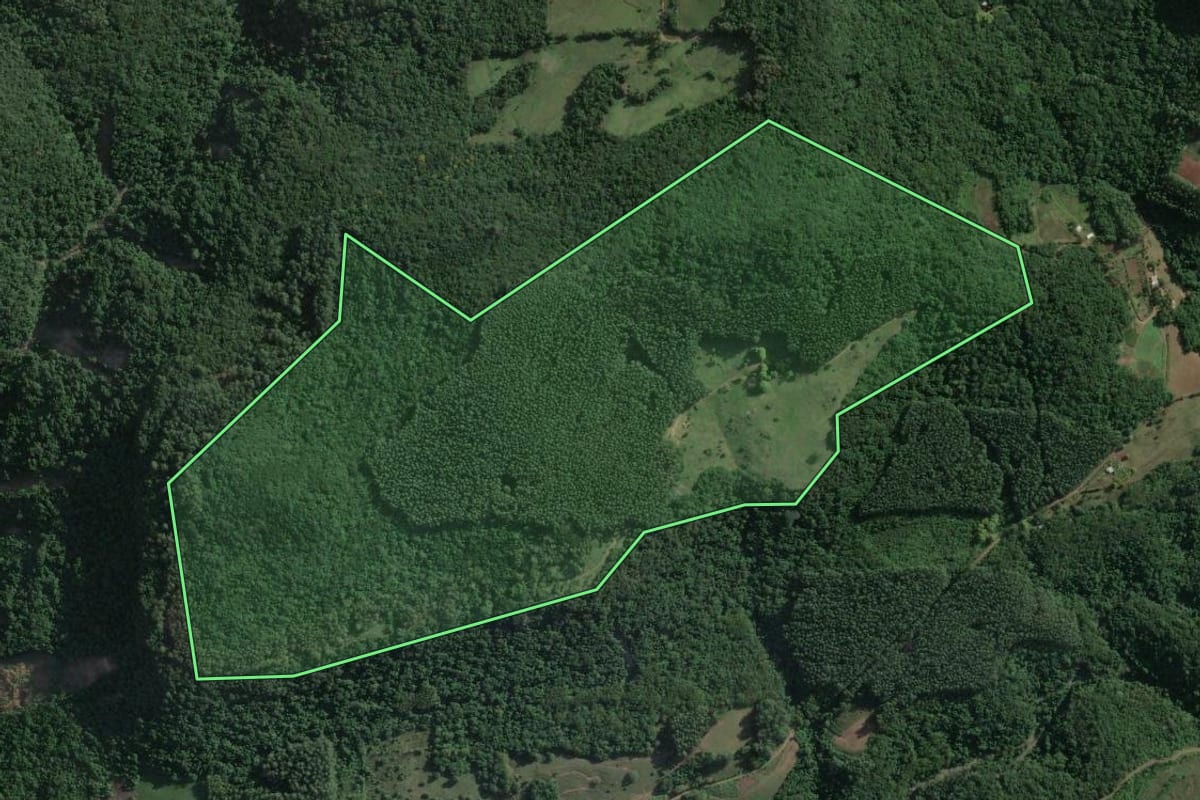 Imagem de satélite do imóvel rural em Roca Sales (RS), com o contorno declarado no CAR desenhado por cima.