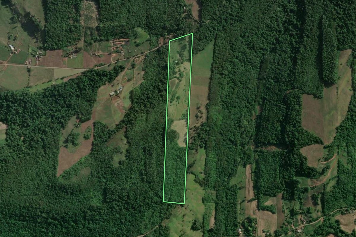 Imagem de satélite do imóvel rural em Roca Sales (RS), com o contorno declarado no CAR desenhado por cima.