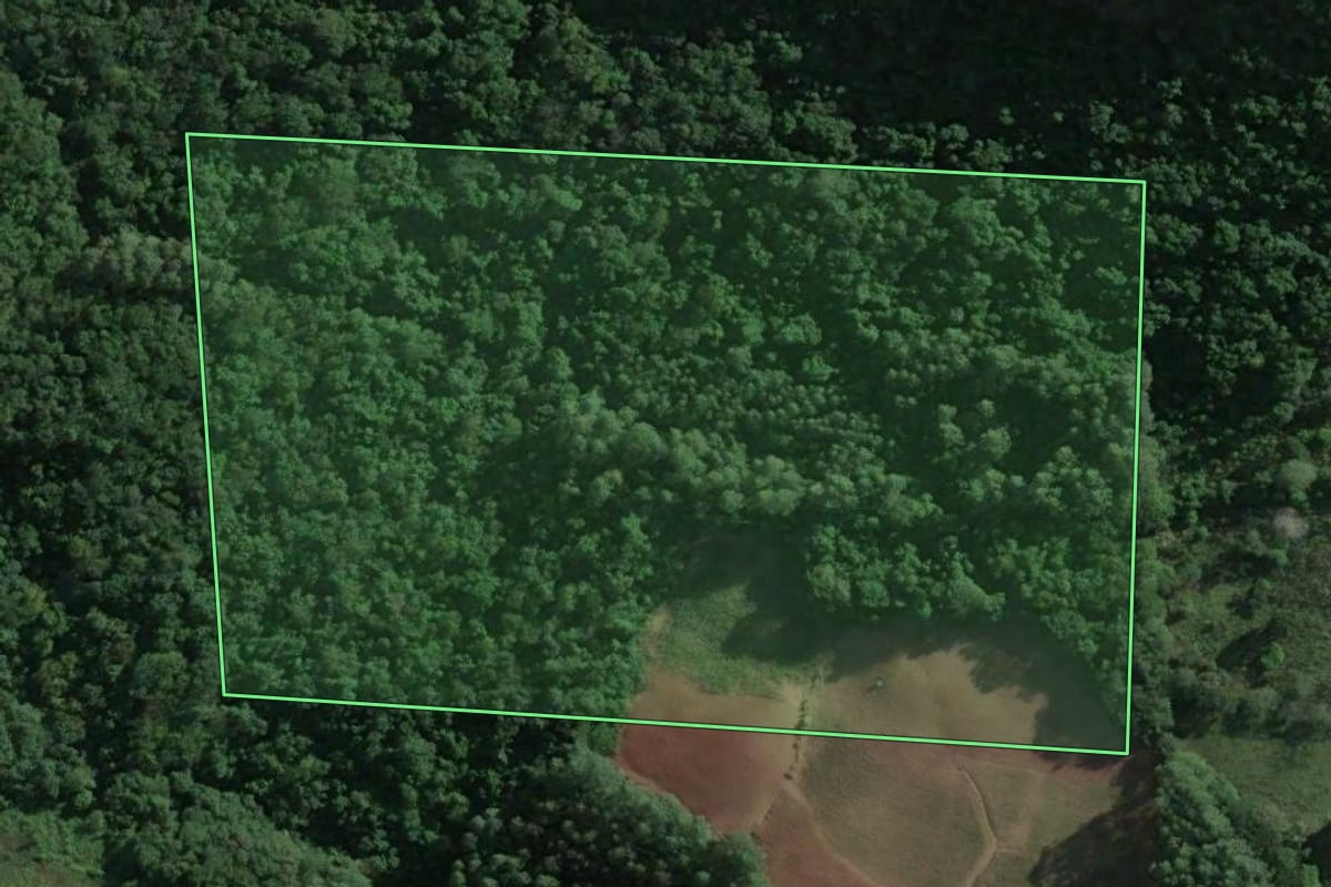 Imagem de satélite do imóvel rural em Roca Sales (RS), com o contorno declarado no CAR desenhado por cima.