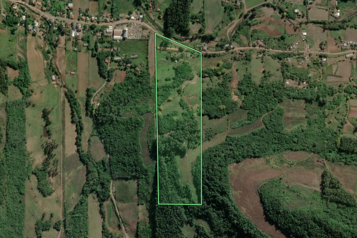 Imagem de satélite do imóvel rural em Roca Sales (RS), com o contorno declarado no CAR desenhado por cima.