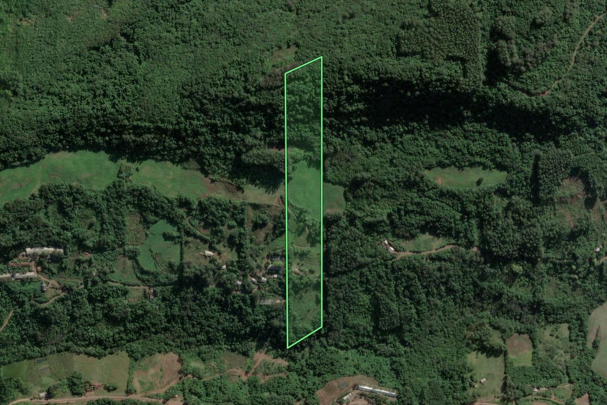Imagem de satélite do imóvel rural em Roca Sales (RS), com o contorno declarado no CAR desenhado por cima.