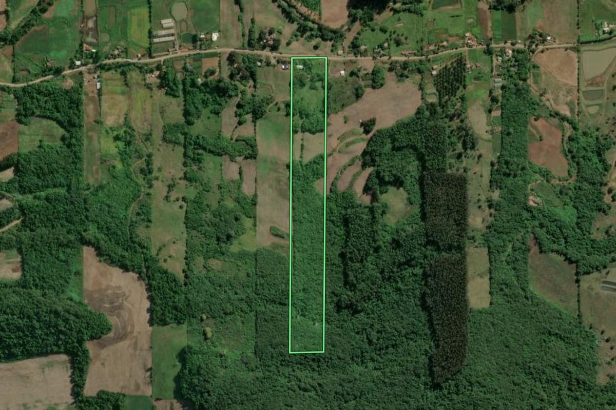Imagem de satélite do imóvel rural em Roca Sales (RS), com o contorno declarado no CAR desenhado por cima.
