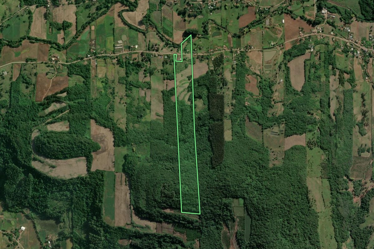 Imagem de satélite do imóvel rural em Roca Sales (RS), com o contorno declarado no CAR desenhado por cima.