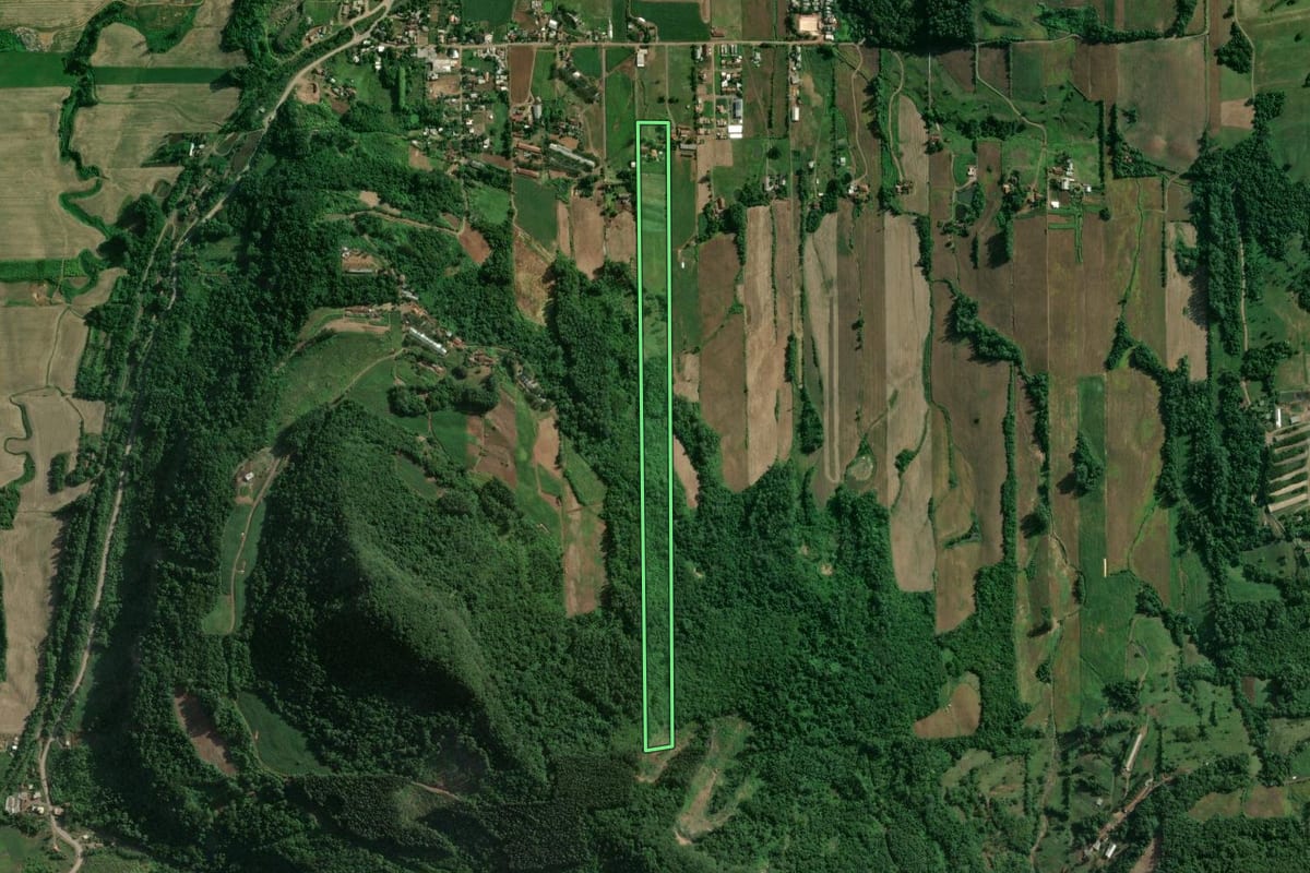 Imagem de satélite do imóvel rural em Roca Sales (RS), com o contorno declarado no CAR desenhado por cima.