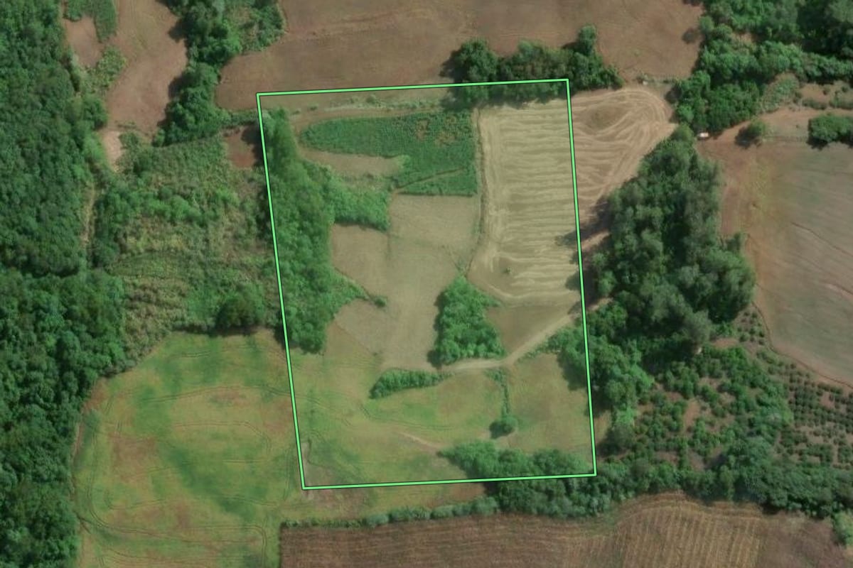 Imagem de satélite do imóvel rural em Roca Sales (RS), com o contorno declarado no CAR desenhado por cima.