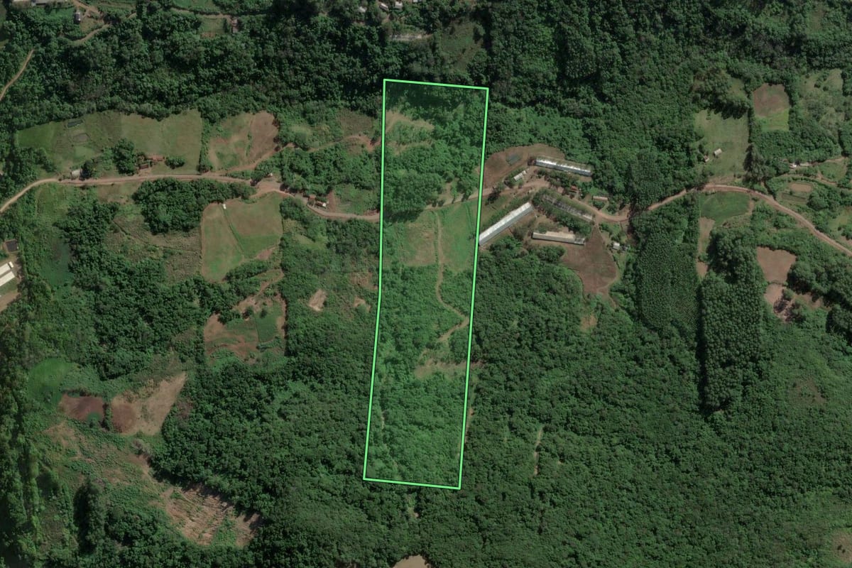 Imagem de satélite do imóvel rural em Roca Sales (RS), com o contorno declarado no CAR desenhado por cima.