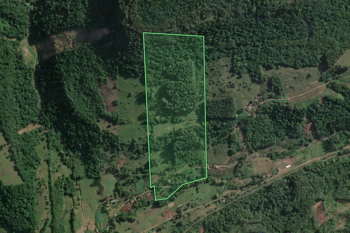 Imagem de satélite do imóvel rural em Roca Sales (RS), com o contorno declarado no CAR desenhado por cima.