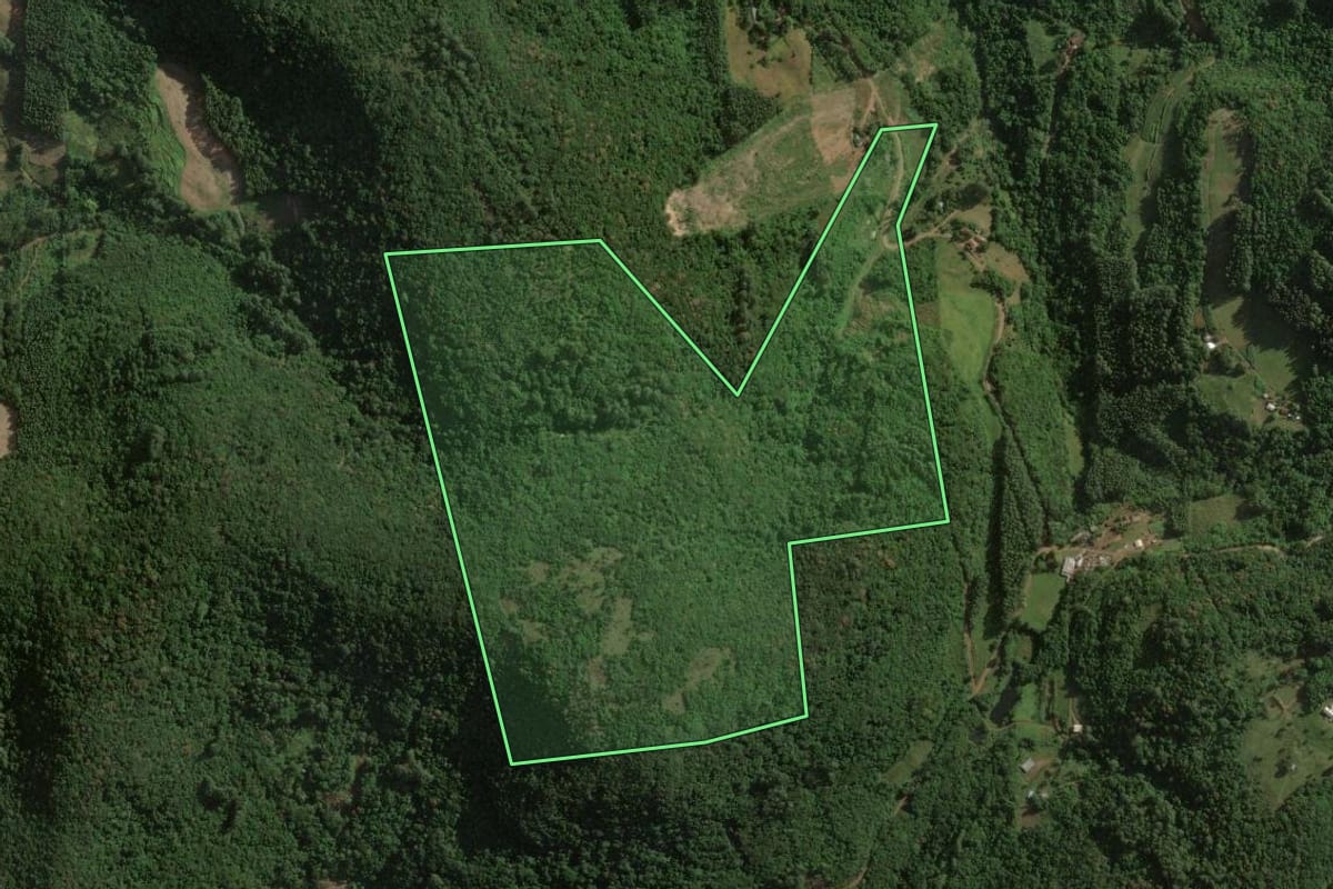 Imagem de satélite do imóvel rural em Roca Sales (RS), com o contorno declarado no CAR desenhado por cima.