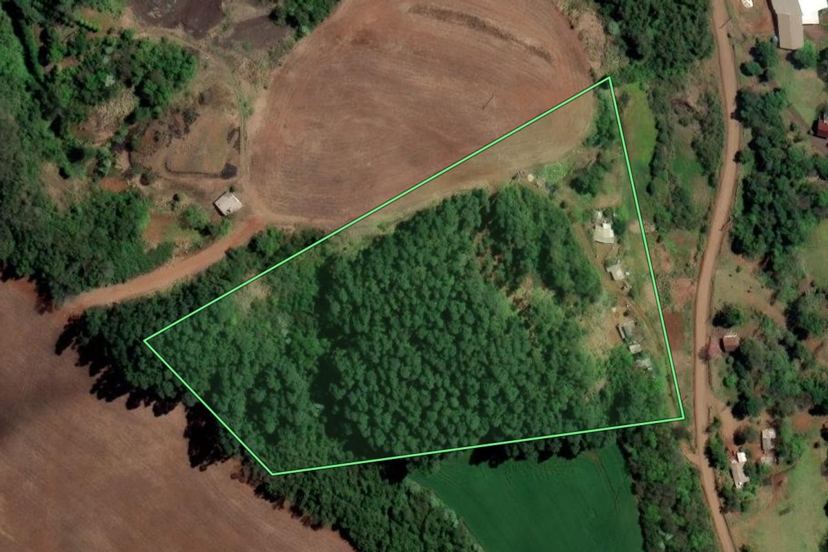 Imagem de satélite do imóvel rural em Rodeio Bonito (RS), com o contorno declarado no CAR desenhado por cima.
