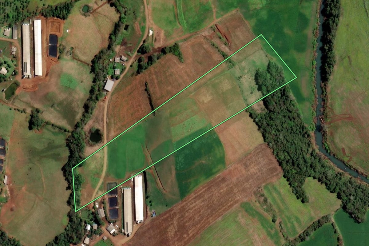 Imagem de satélite do imóvel rural em Rodeio Bonito (RS), com o contorno declarado no CAR desenhado por cima.