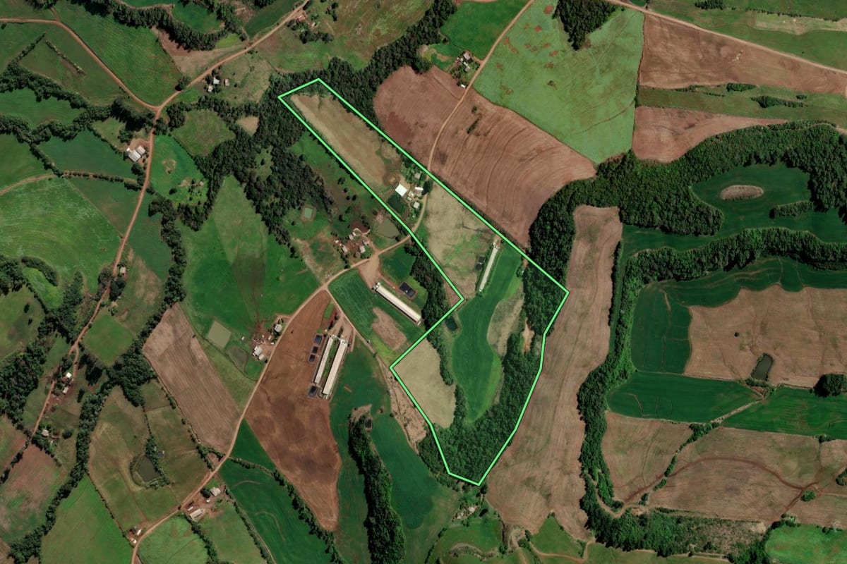 Imagem de satélite do imóvel rural em Rodeio Bonito (RS), com o contorno declarado no CAR desenhado por cima.