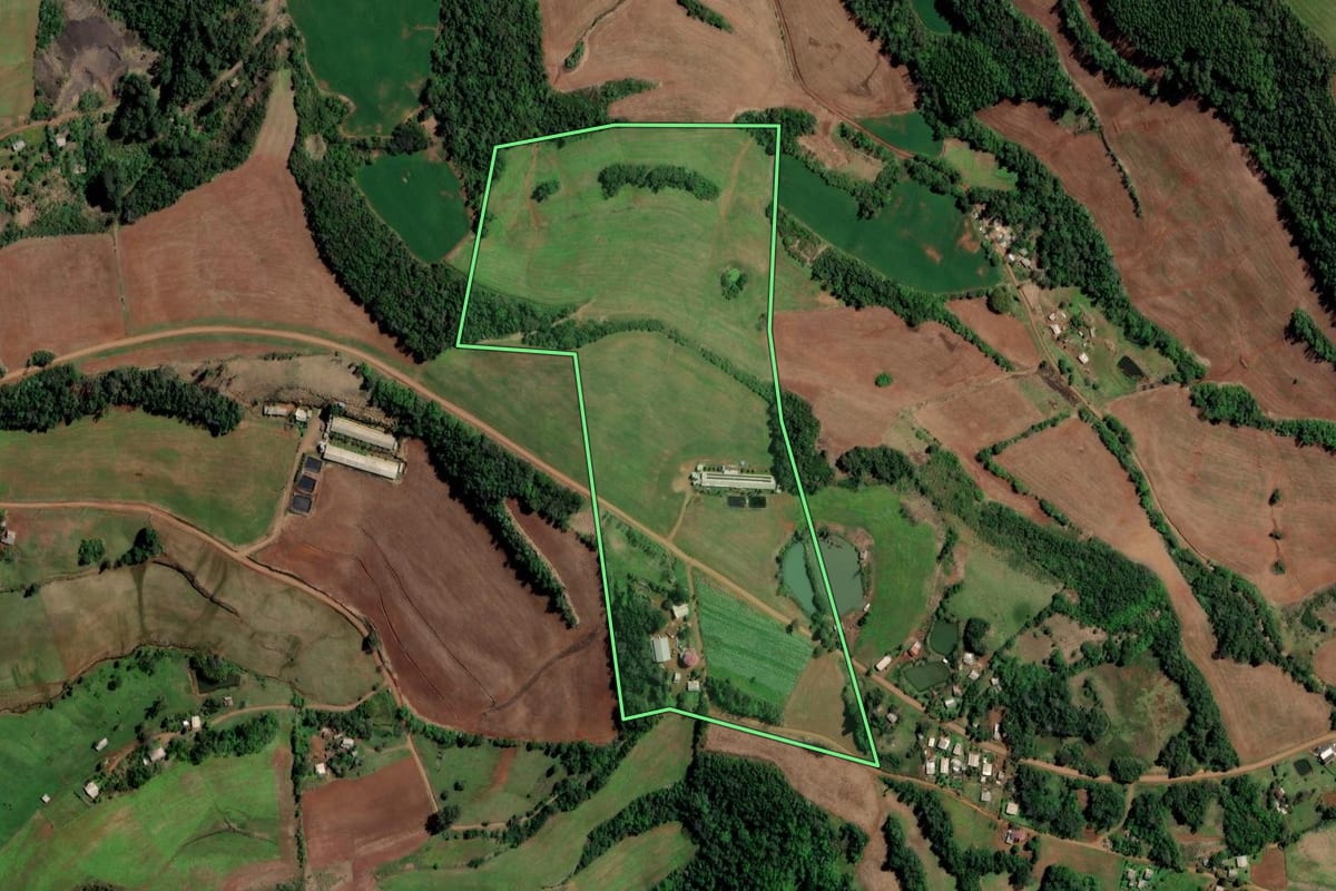 Imagem de satélite do imóvel rural em Rodeio Bonito (RS), com o contorno declarado no CAR desenhado por cima.
