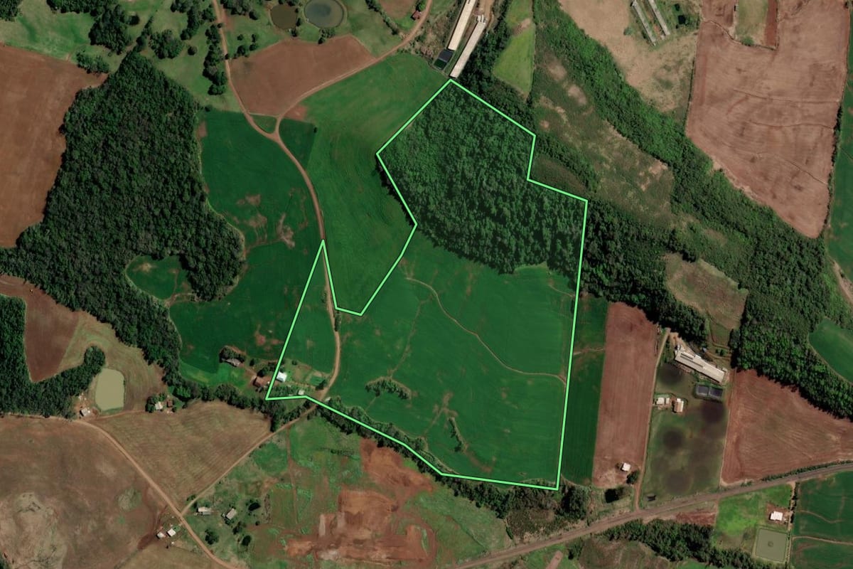 Imagem de satélite do imóvel rural em Rodeio Bonito (RS), com o contorno declarado no CAR desenhado por cima.