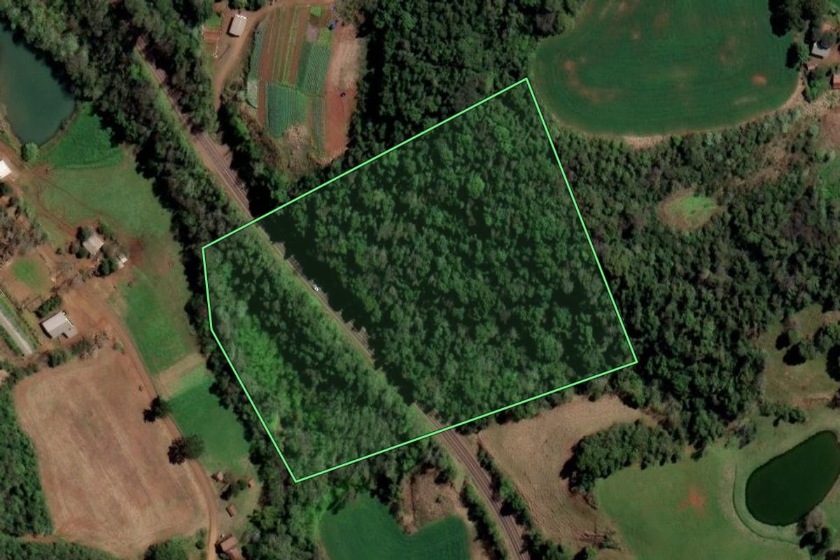 Imagem de satélite do imóvel rural em Rodeio Bonito (RS), com o contorno declarado no CAR desenhado por cima.
