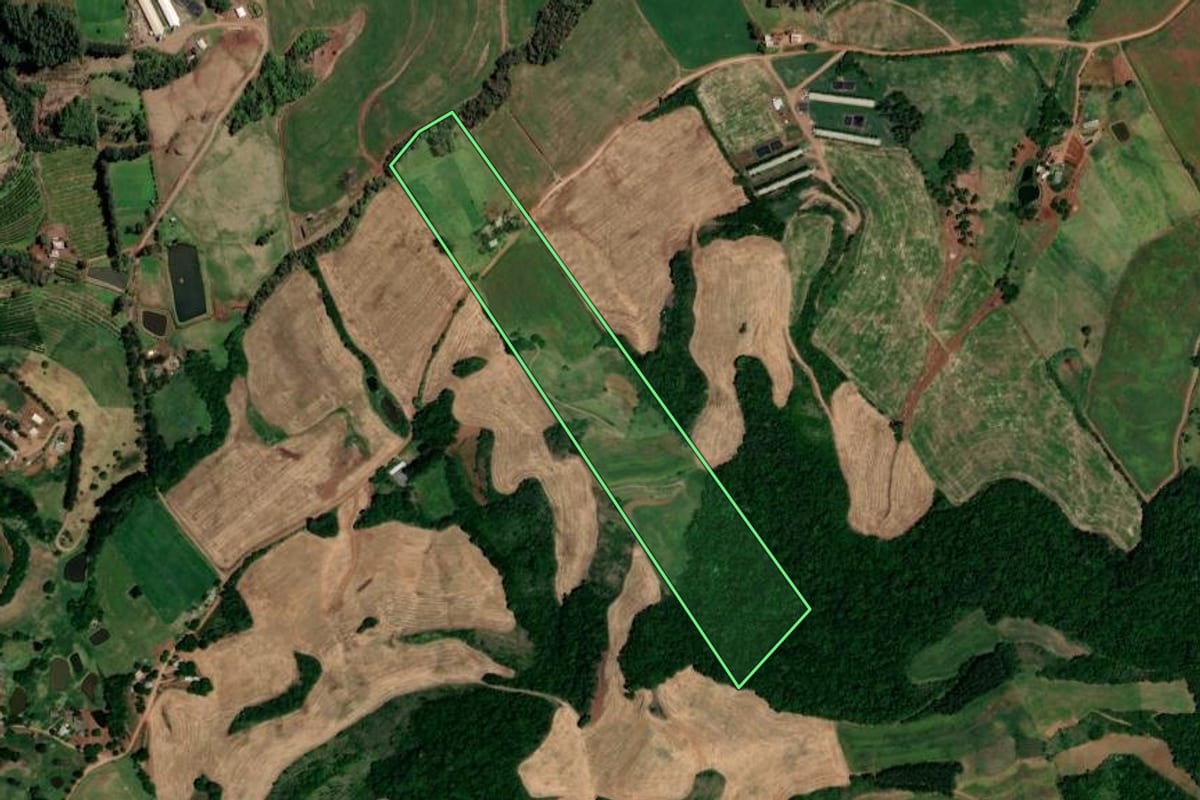 Imagem de satélite do imóvel rural em Rodeio Bonito (RS), com o contorno declarado no CAR desenhado por cima.