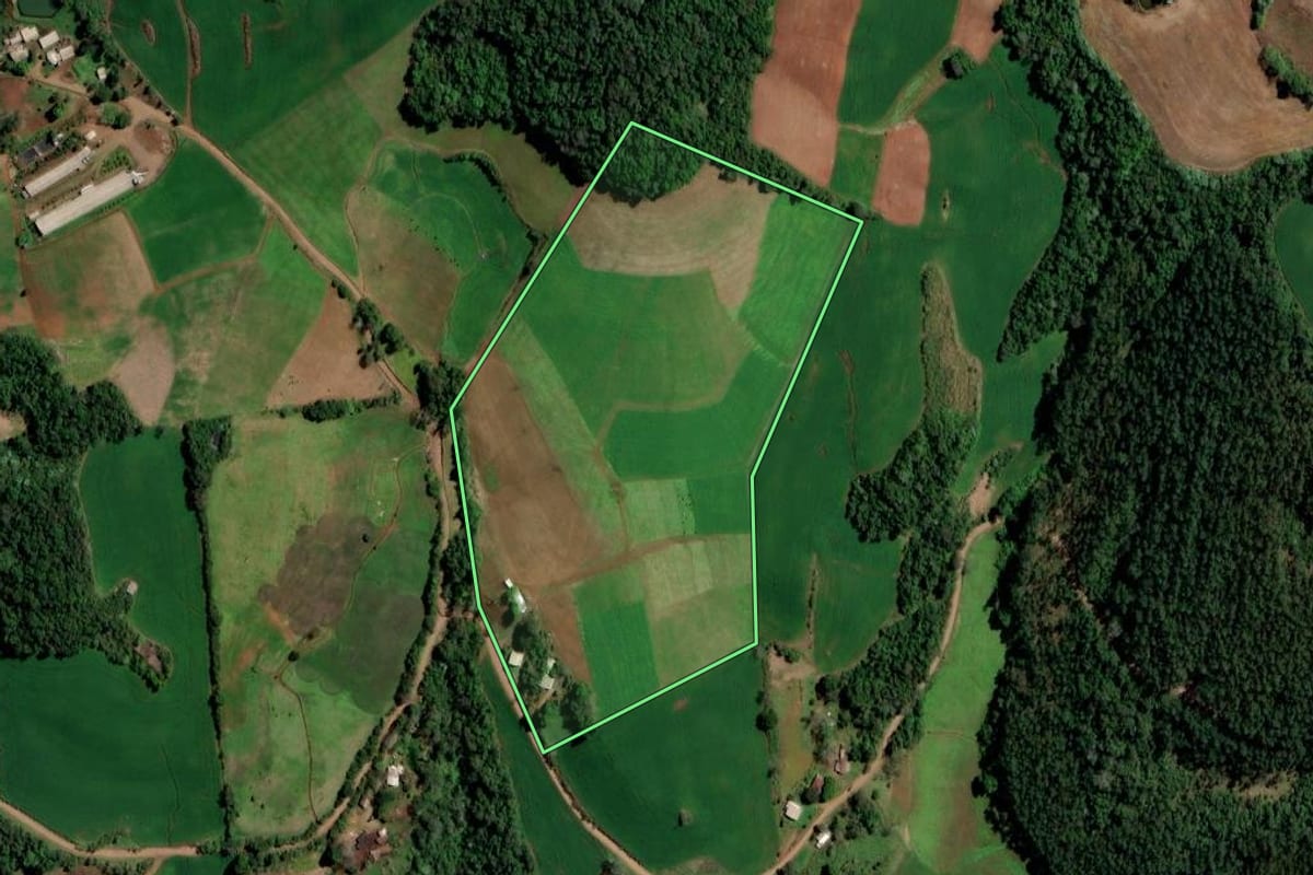 Imagem de satélite do imóvel rural em Rodeio Bonito (RS), com o contorno declarado no CAR desenhado por cima.