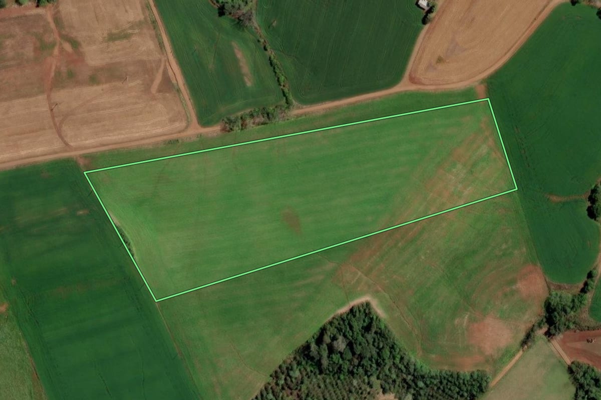 Imagem de satélite do imóvel rural em Rodeio Bonito (RS), com o contorno declarado no CAR desenhado por cima.
