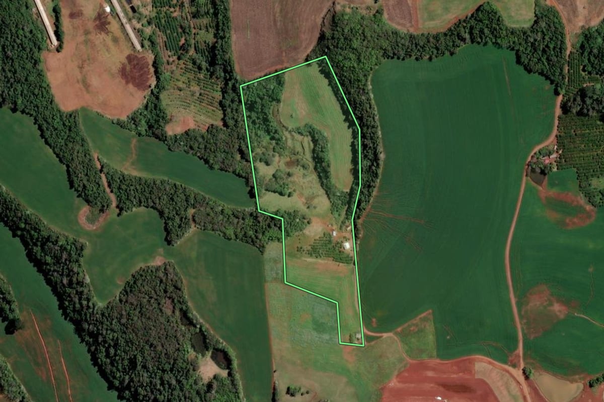 Imagem de satélite do imóvel rural em Rodeio Bonito (RS), com o contorno declarado no CAR desenhado por cima.