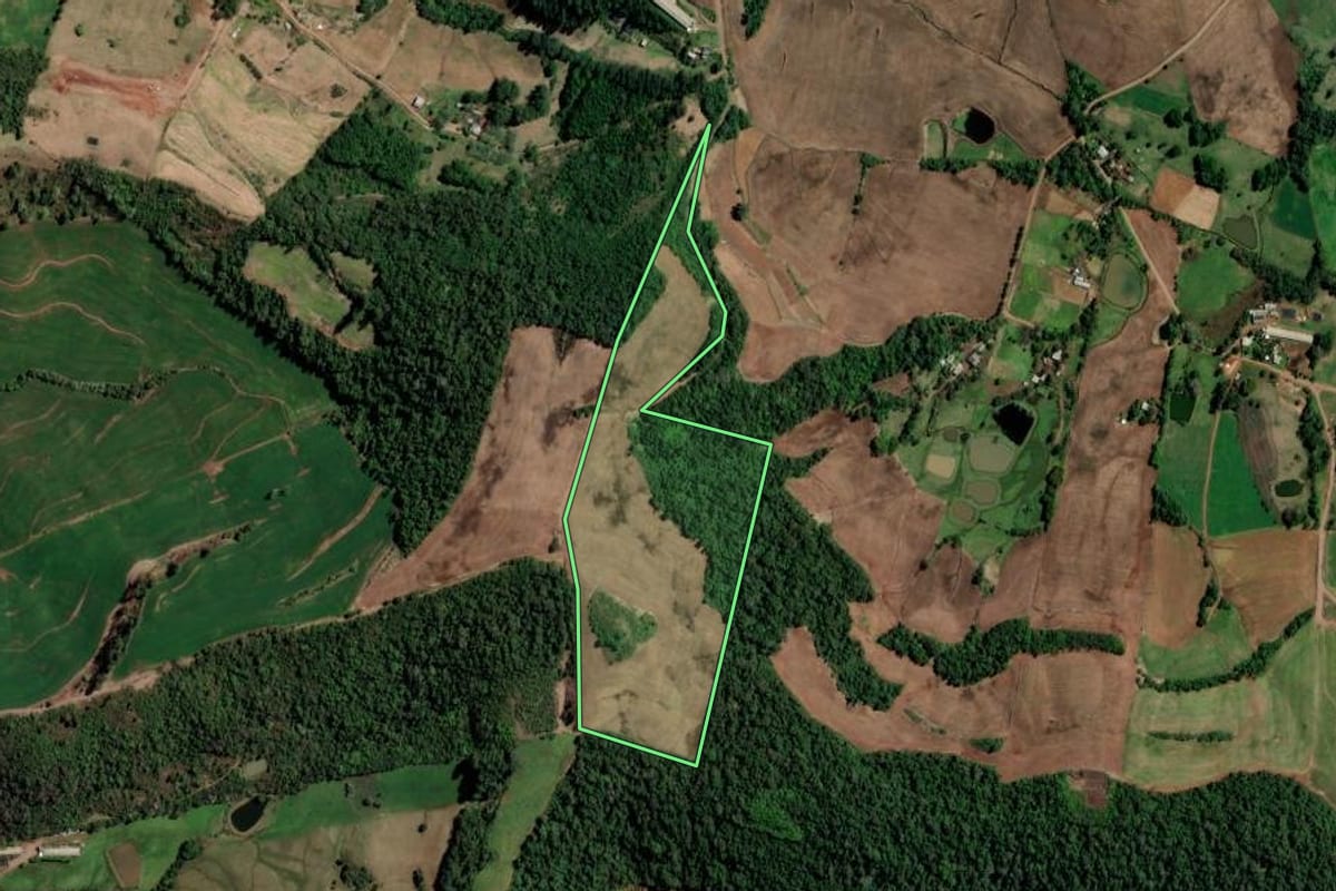 Imagem de satélite do imóvel rural em Rodeio Bonito (RS), com o contorno declarado no CAR desenhado por cima.