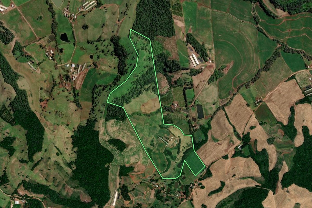Imagem de satélite do imóvel rural em Rodeio Bonito (RS), com o contorno declarado no CAR desenhado por cima.