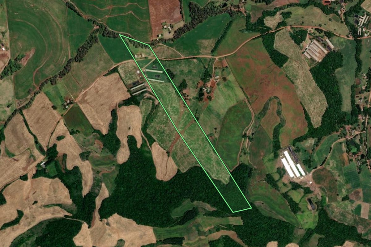 Imagem de satélite do imóvel rural em Rodeio Bonito (RS), com o contorno declarado no CAR desenhado por cima.