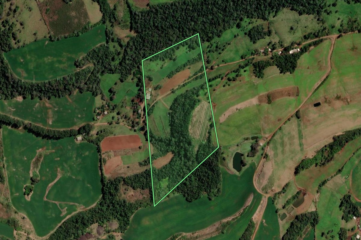 Imagem de satélite do imóvel rural em Rodeio Bonito (RS), com o contorno declarado no CAR desenhado por cima.