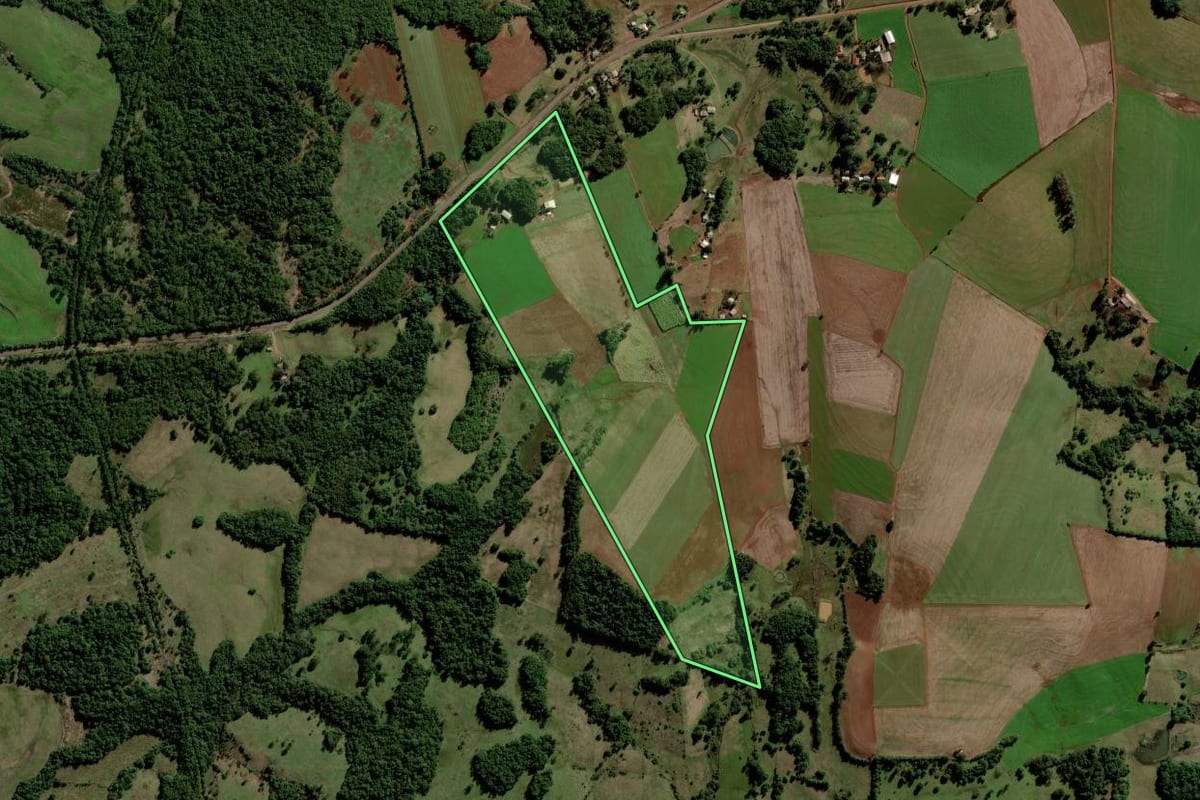 Imagem de satélite do imóvel rural em Rolador (RS), com o contorno declarado no CAR desenhado por cima.
