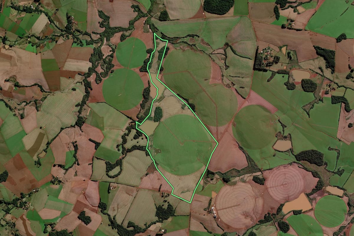 Imagem de satélite do imóvel rural em Rolador (RS), com o contorno declarado no CAR desenhado por cima.