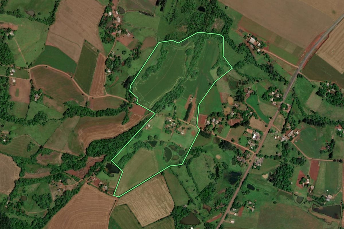 Imagem de satélite do imóvel rural em Rolador (RS), com o contorno declarado no CAR desenhado por cima.