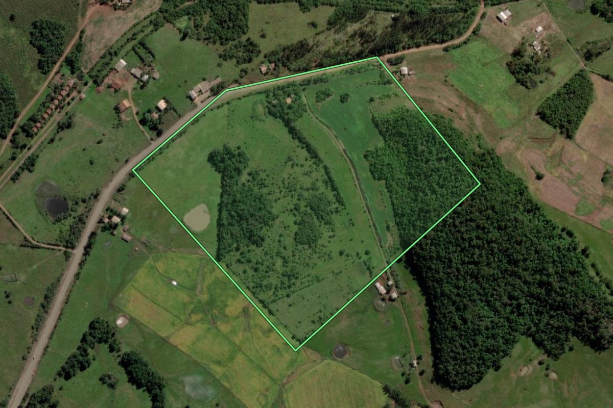 Imagem de satélite do imóvel rural em Rolador (RS), com o contorno declarado no CAR desenhado por cima.