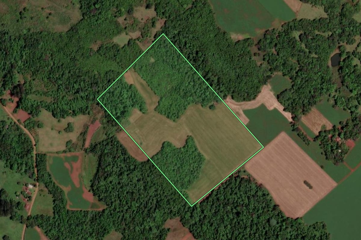 Imagem de satélite do imóvel rural em Rolador (RS), com o contorno declarado no CAR desenhado por cima.