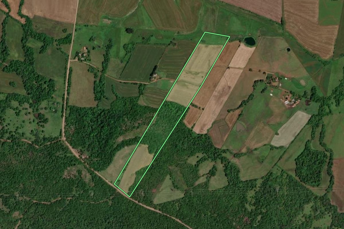 Imagem de satélite do imóvel rural em Rolador (RS), com o contorno declarado no CAR desenhado por cima.