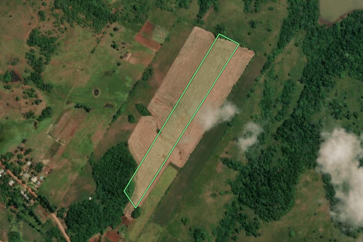 Imagem de satélite do imóvel rural em Rolador (RS), com o contorno declarado no CAR desenhado por cima.
