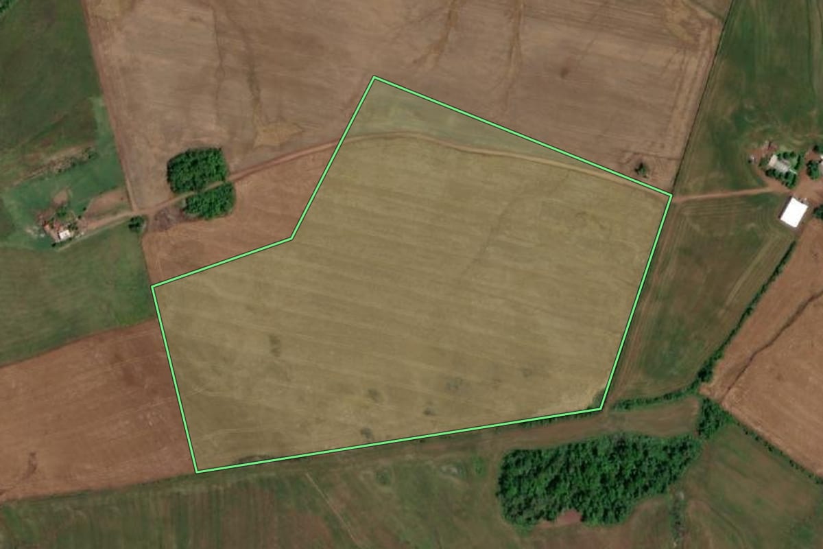 Imagem de satélite do imóvel rural em Rolador (RS), com o contorno declarado no CAR desenhado por cima.