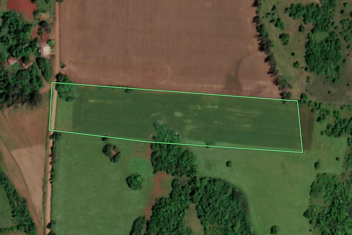 Imagem de satélite do imóvel rural em Rolador (RS), com o contorno declarado no CAR desenhado por cima.