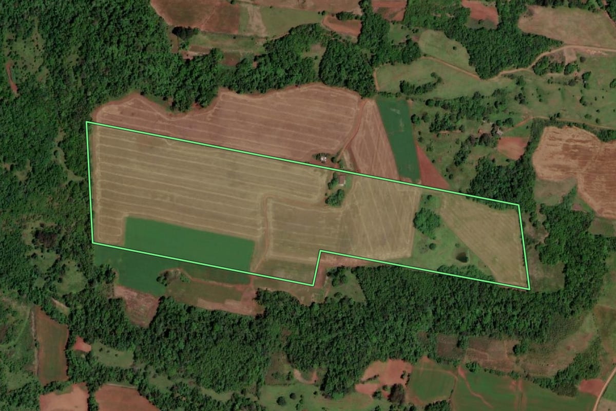 Imagem de satélite do imóvel rural em Rolador (RS), com o contorno declarado no CAR desenhado por cima.