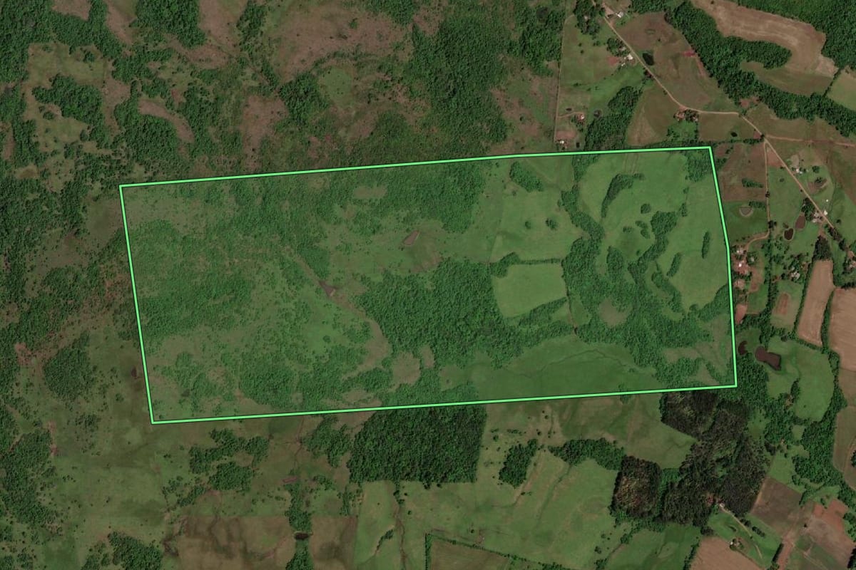 Imagem de satélite do imóvel rural em Rolador (RS), com o contorno declarado no CAR desenhado por cima.