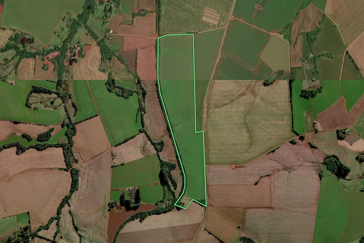Imagem de satélite do imóvel rural em Rolador (RS), com o contorno declarado no CAR desenhado por cima.