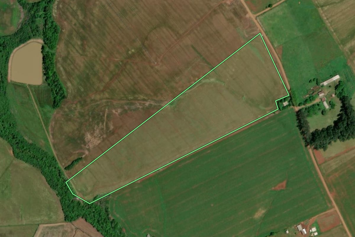 Imagem de satélite do imóvel rural em Rolador (RS), com o contorno declarado no CAR desenhado por cima.