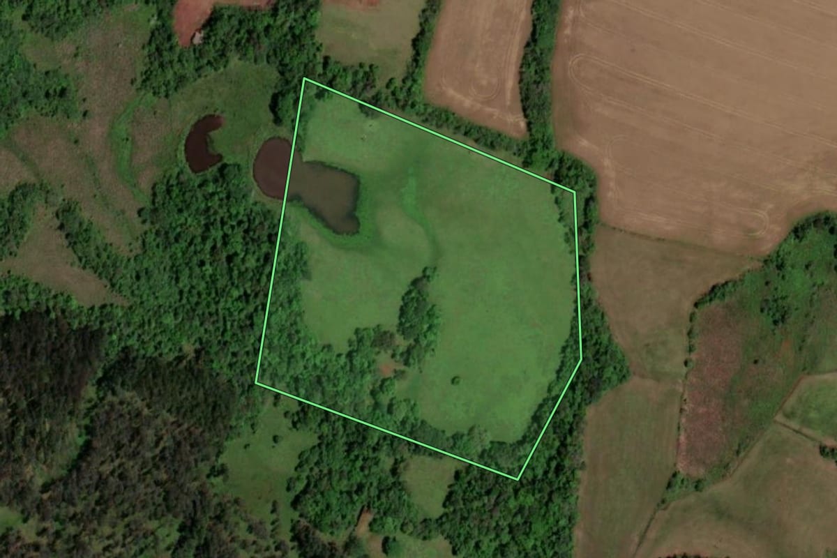 Imagem de satélite do imóvel rural em Rolador (RS), com o contorno declarado no CAR desenhado por cima.