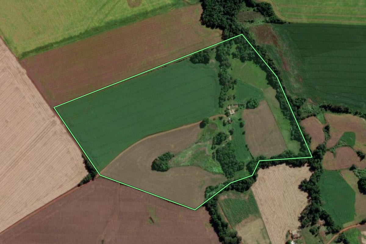 Imagem de satélite do imóvel rural em Rolador (RS), com o contorno declarado no CAR desenhado por cima.