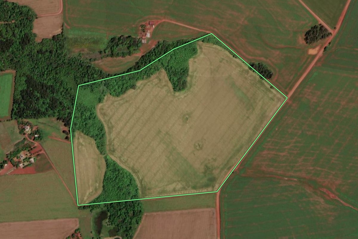 Imagem de satélite do imóvel rural em Rolador (RS), com o contorno declarado no CAR desenhado por cima.